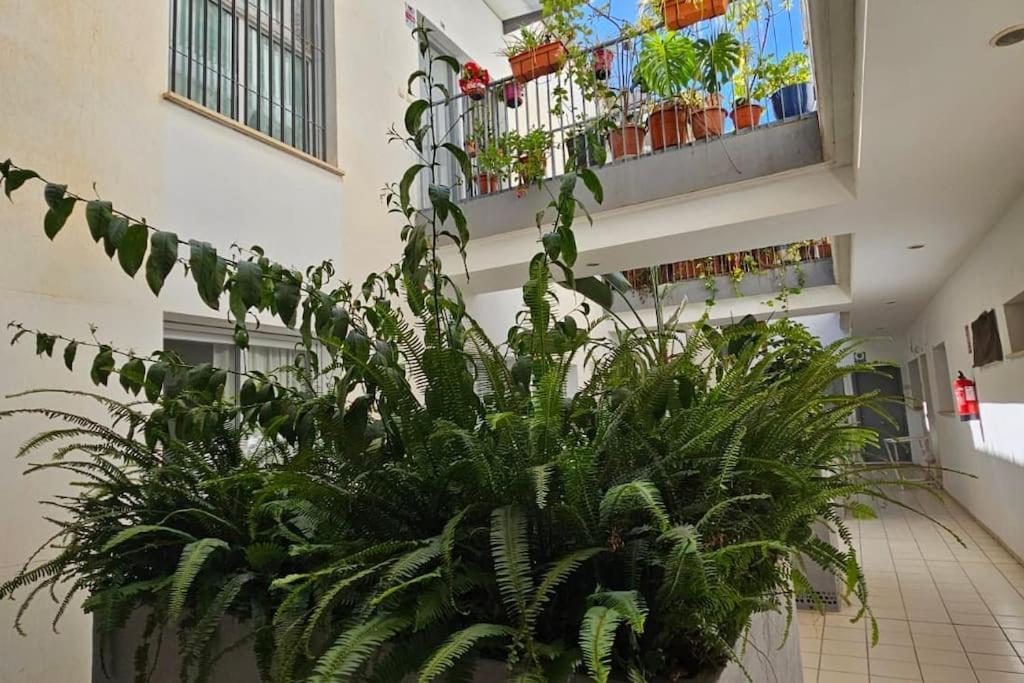 Suite Trinidad Centro Malaga Bagian luar foto